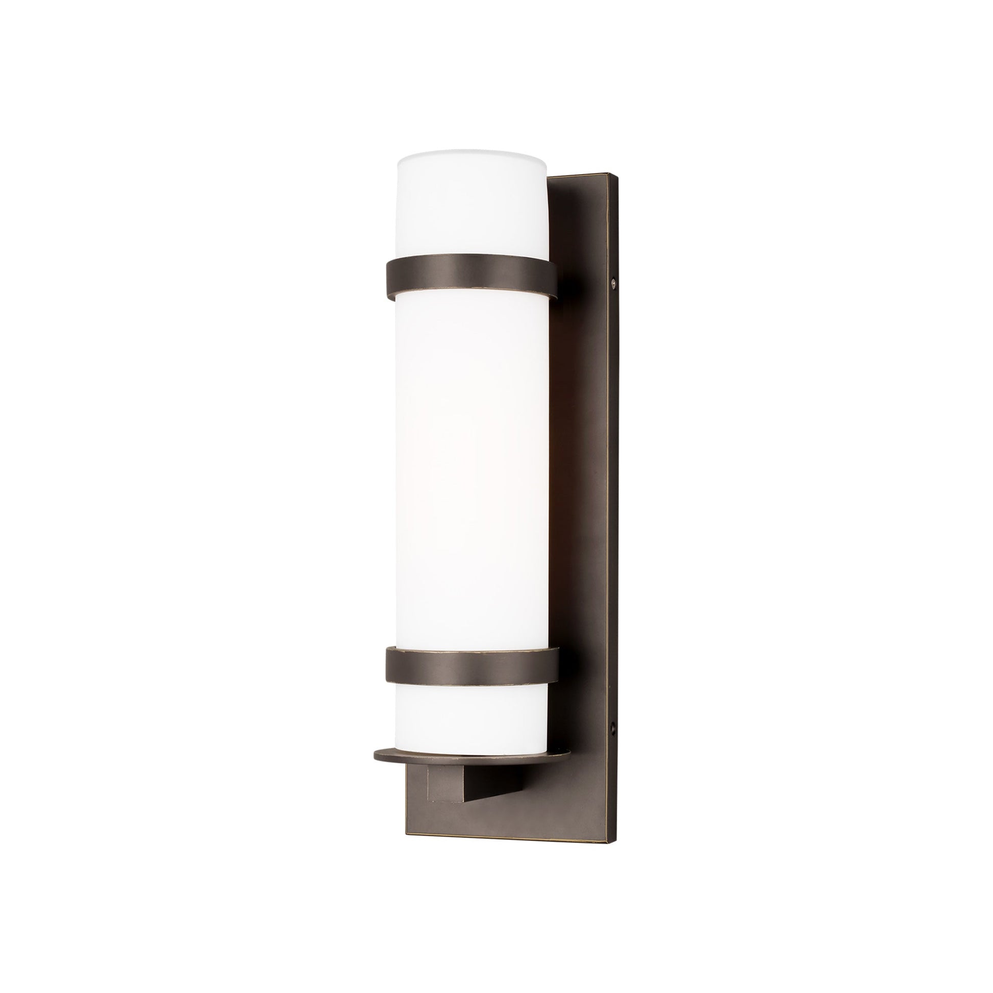 Alban Outdoor Wall Light in Antique Bronze (Medium).