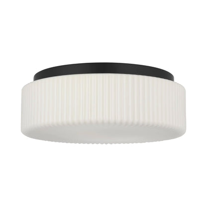 Axira Flush Mount Ceiling Light in Detail.