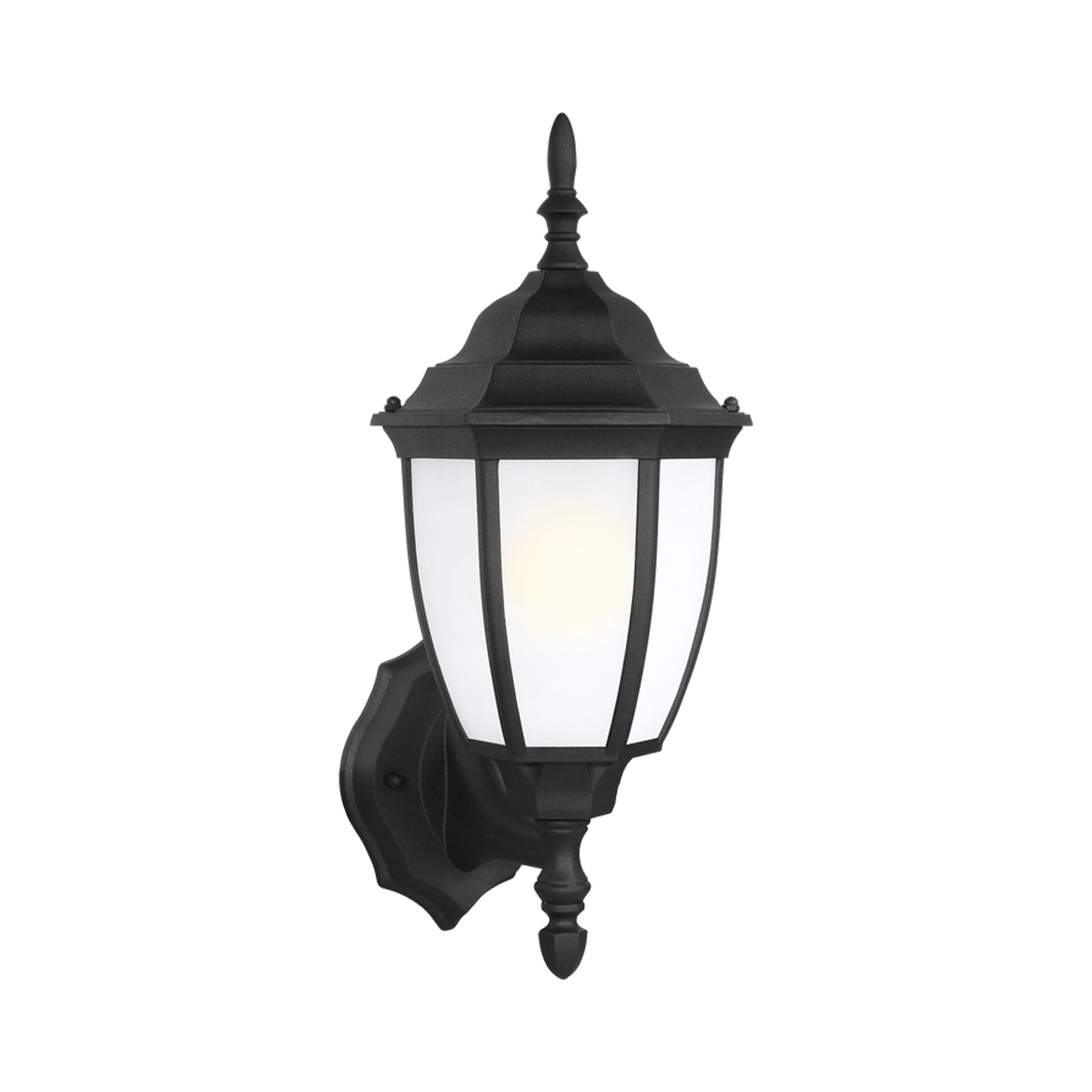 Bakersville Outdoor Oval Glass Wall Light in Black (Satin Etched ).
