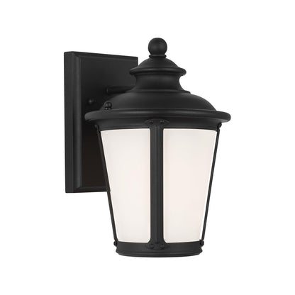 Cape May Outdoor Lantern Wall Light in Black (Small).