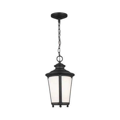 Cape May Outdoor Pendant Light in Black.