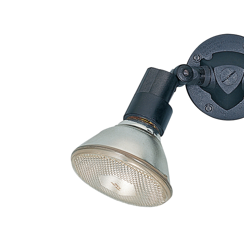 Flood Light Outdoor Adjustable Wall Light in Detail.