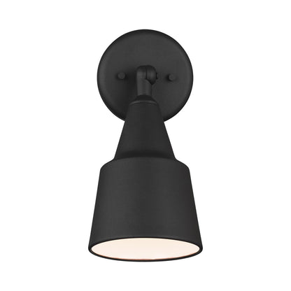 Flood Light Outdoor Wall Light in Detail.