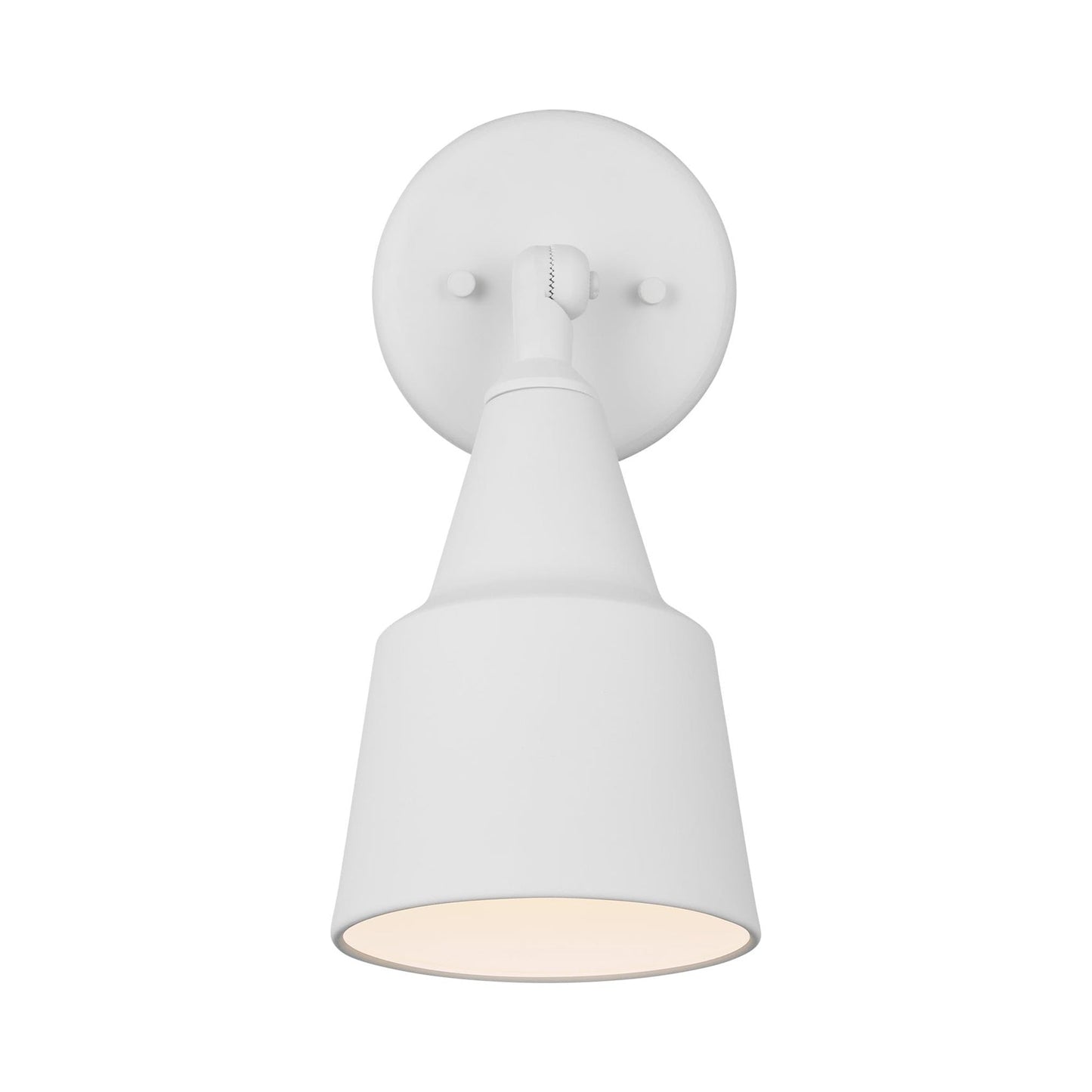 Flood Light Outdoor Wall Light in Antique Bronze (1-Light).