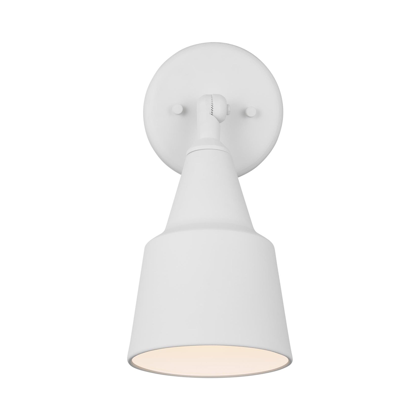 Flood Light Outdoor Wall Light in Antique Bronze (1-Light).