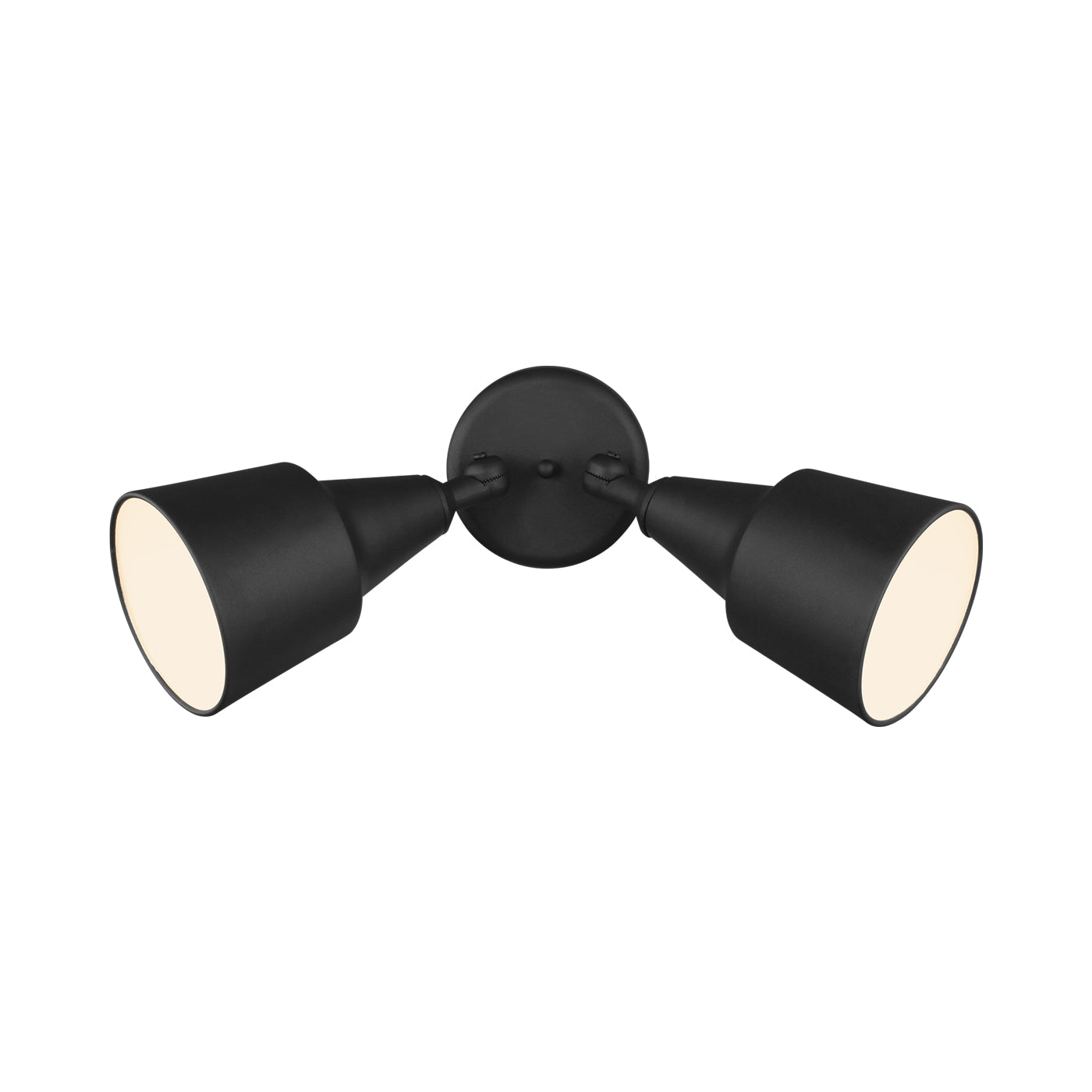 Flood Light Outdoor Wall Light in Black (2-Light).
