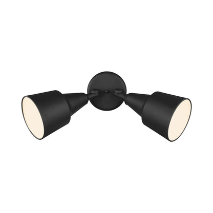 Flood Light Outdoor Wall Light in Black (2-Light).