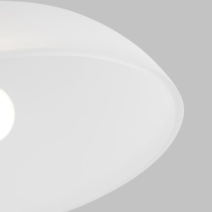 Geary Single Pendant Light in Detail.