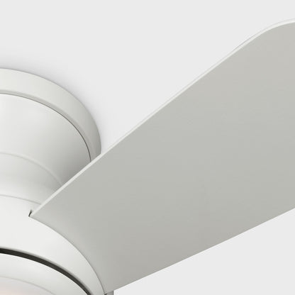 Orbis Hugger LED Ceiling Fan in Detail.