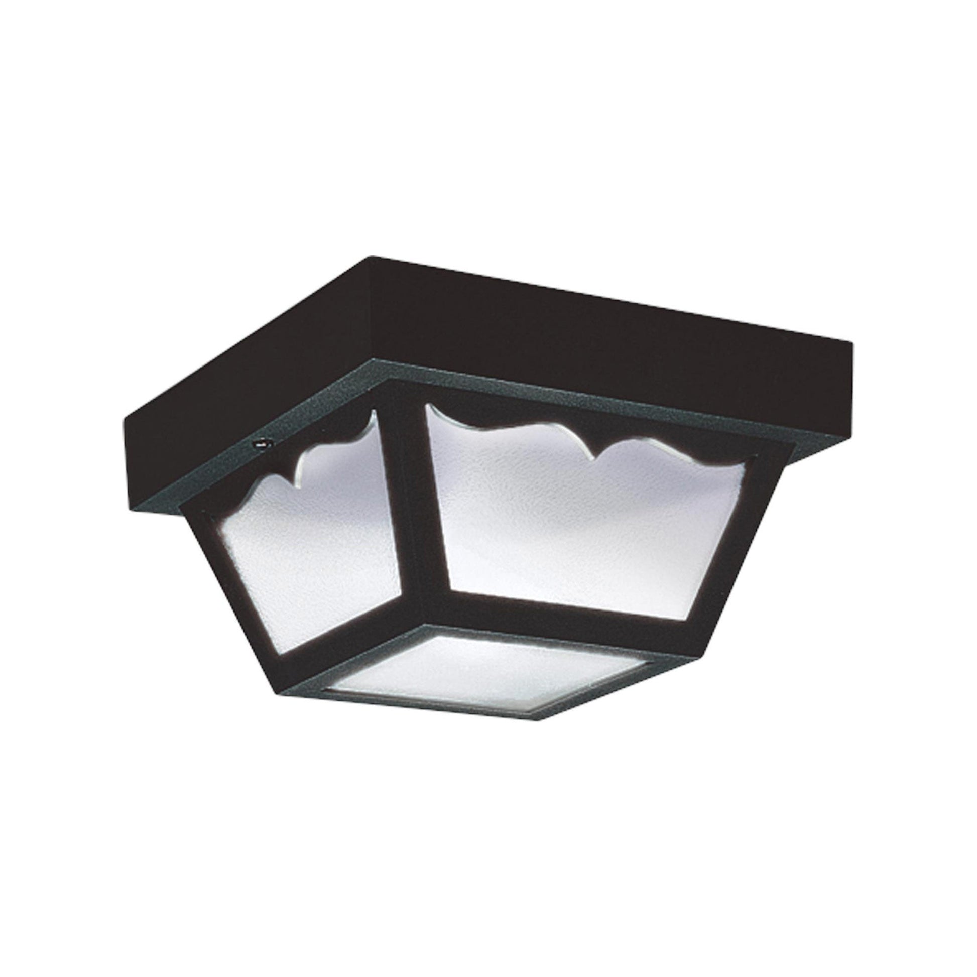 Outdoor Flush Mount Ceiling Light in Black (2-Light).