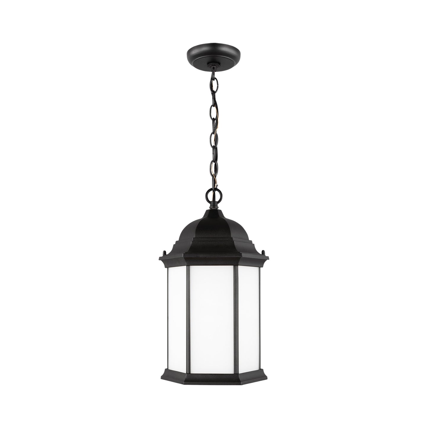 Sevier Outdoor Pendant Light in Black/Satin Etched.