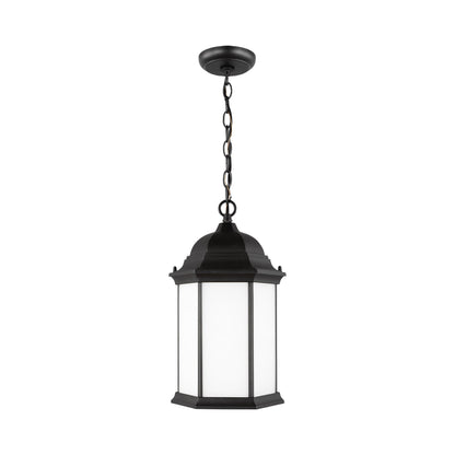 Sevier Outdoor Pendant Light in Black/Satin Etched.