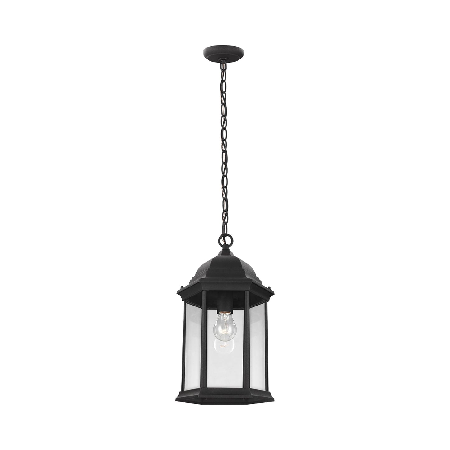 Sevier Outdoor Pendant Light in Black/Clear.