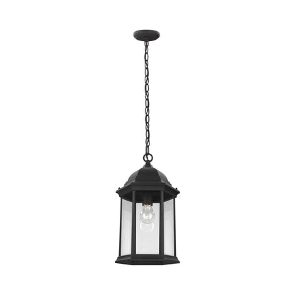 Sevier Outdoor Pendant Light in Black/Clear.