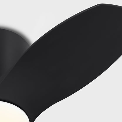 Titus Hugger Outdoor LED Ceiling Fan in Detail.