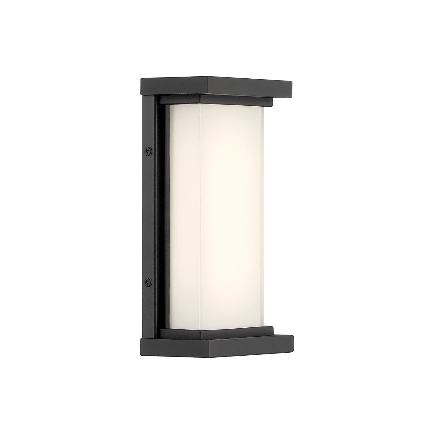 Caption Outdoor LED Wall Light (10-Inch).