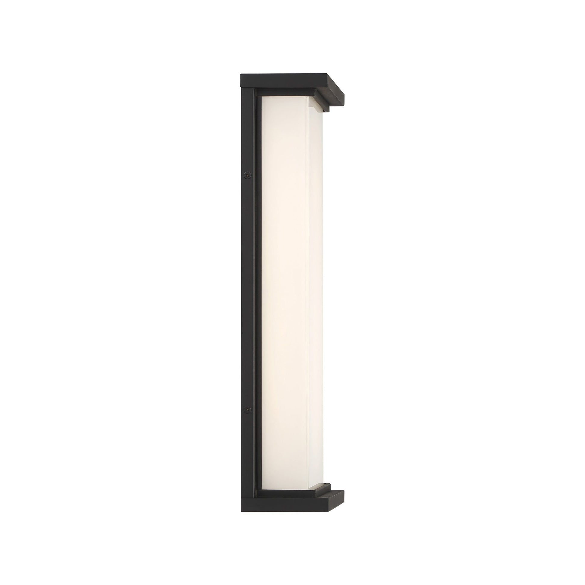 Caption Outdoor LED Wall Light in Detail.