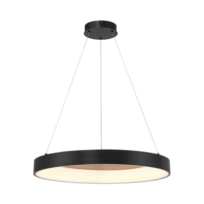 Conc LED Pendant Light in Coal.