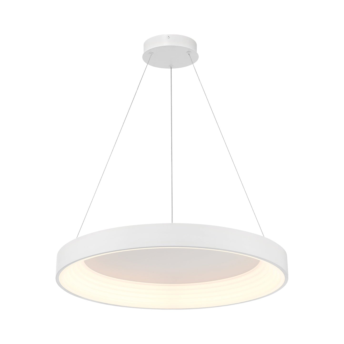 Conc LED Pendant Light.