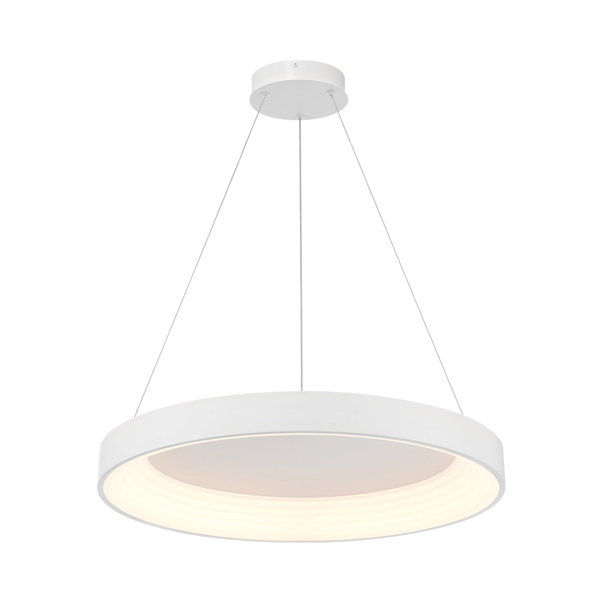 Conc LED Pendant Light.