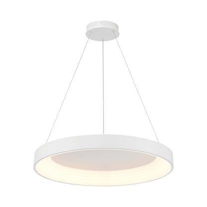 Conc LED Pendant Light.