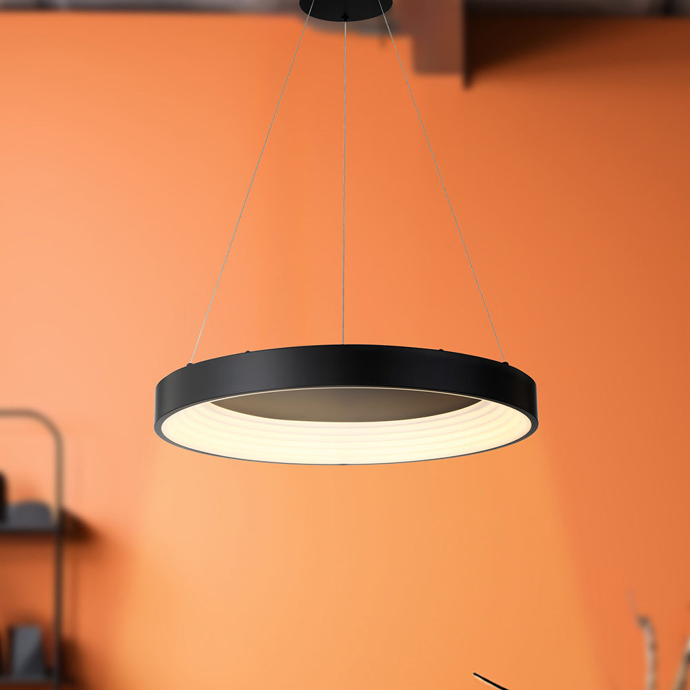 Conc LED Pendant Light in Detail.