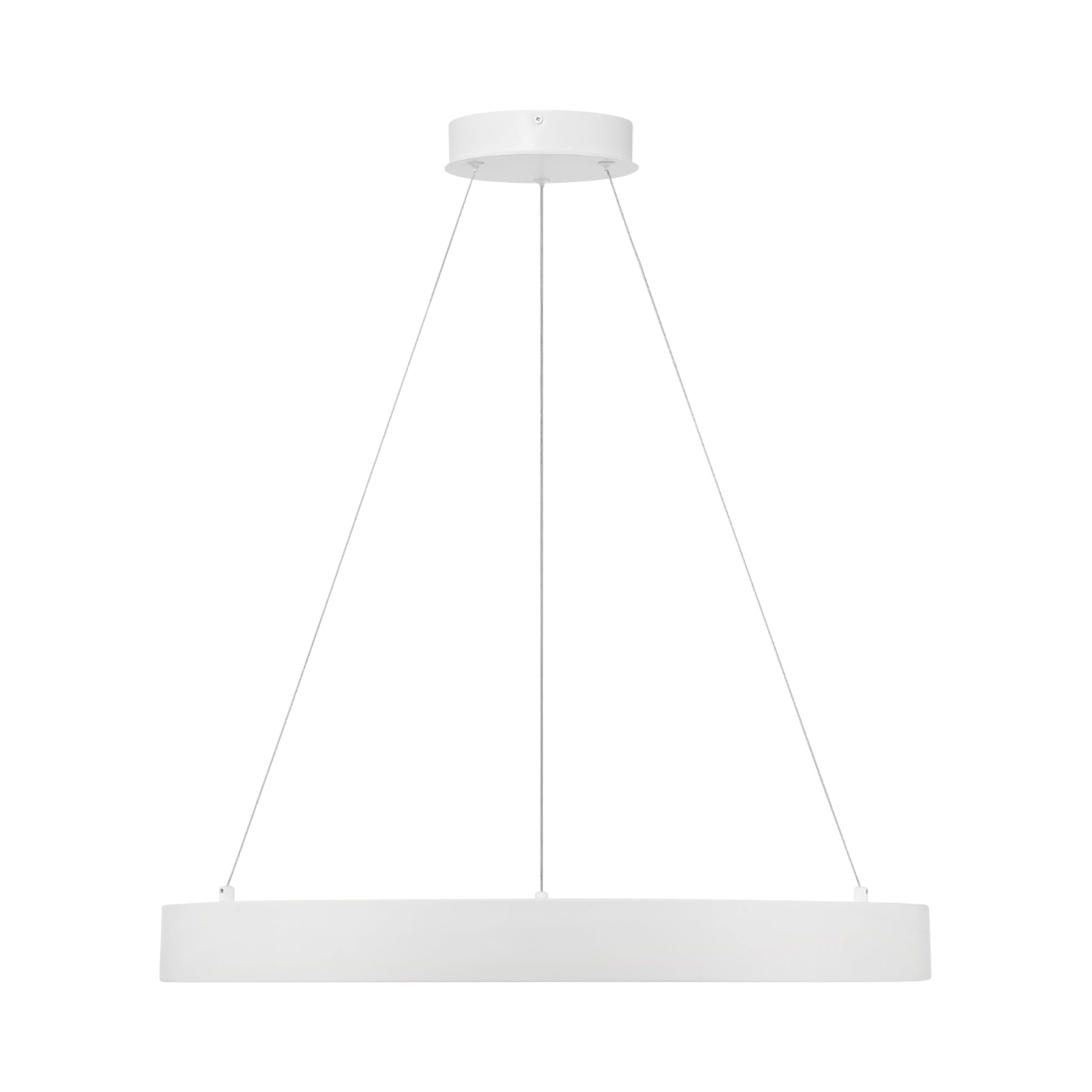 Conc LED Pendant Light in Detail.