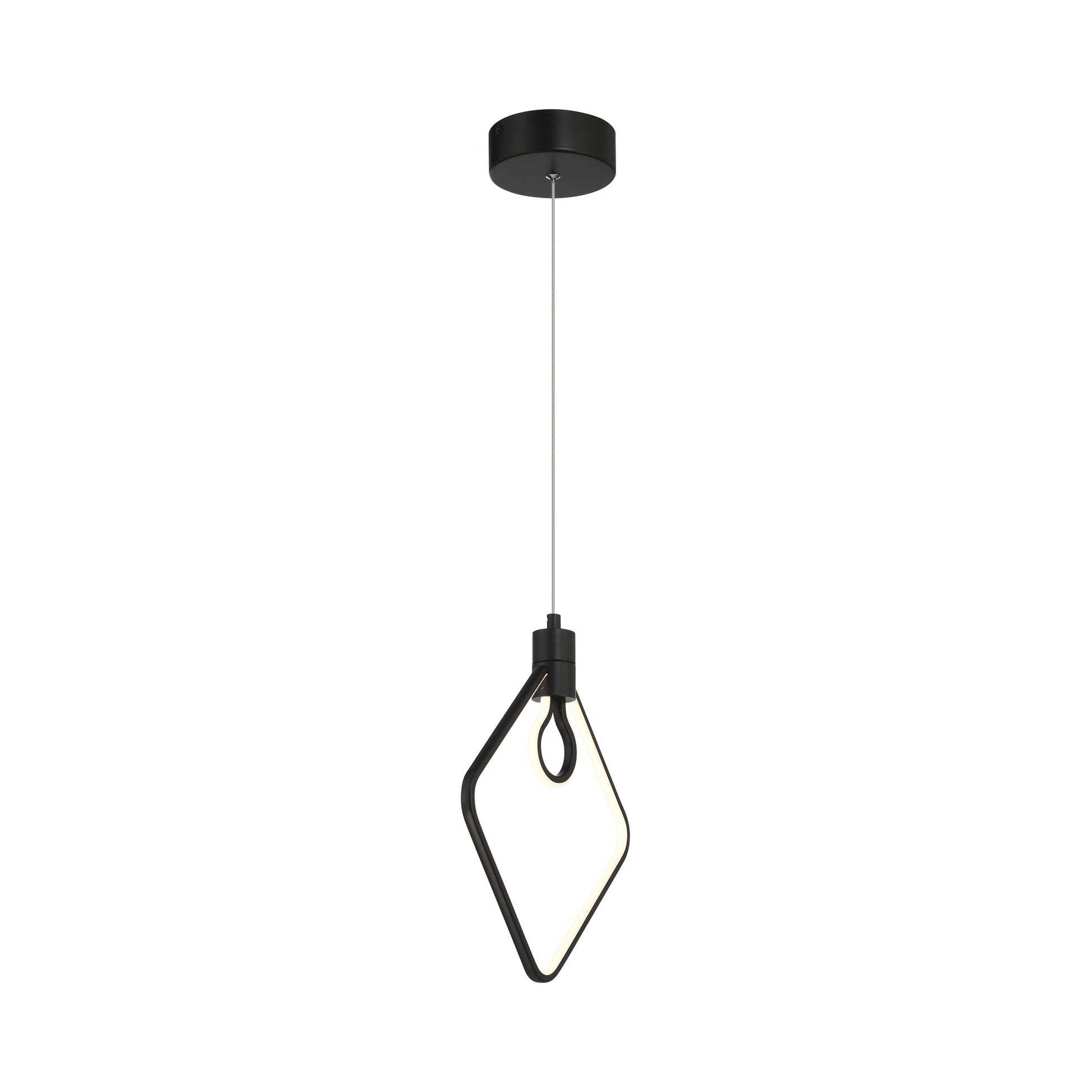 Edison's Outline P1904 LED Pendant Light in Detail.