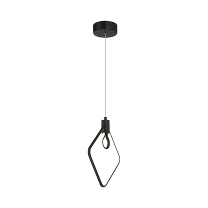 Edison's Outline P1904 LED Pendant Light in Detail.