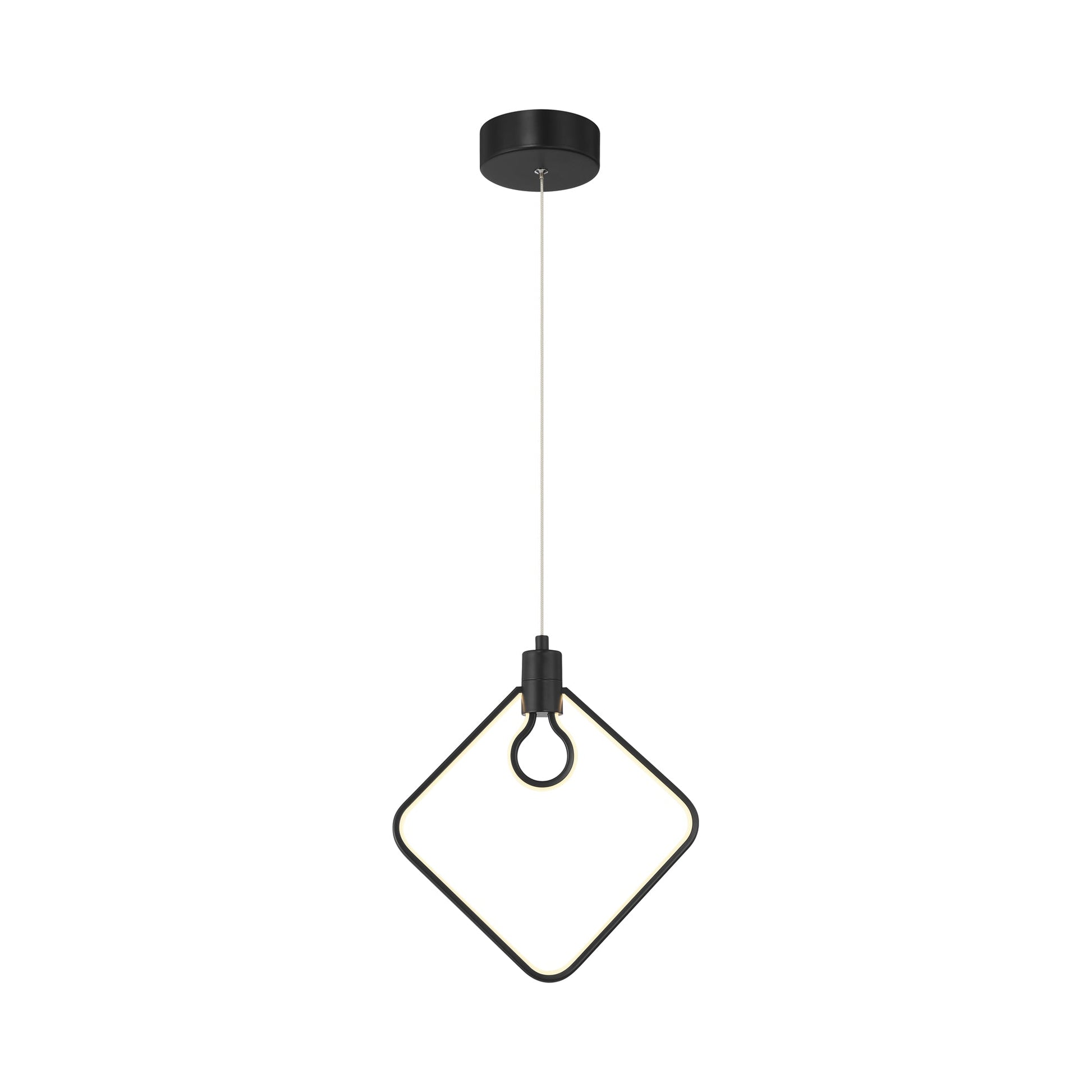 Edison's Outline P1904 LED Pendant Light in Detail.