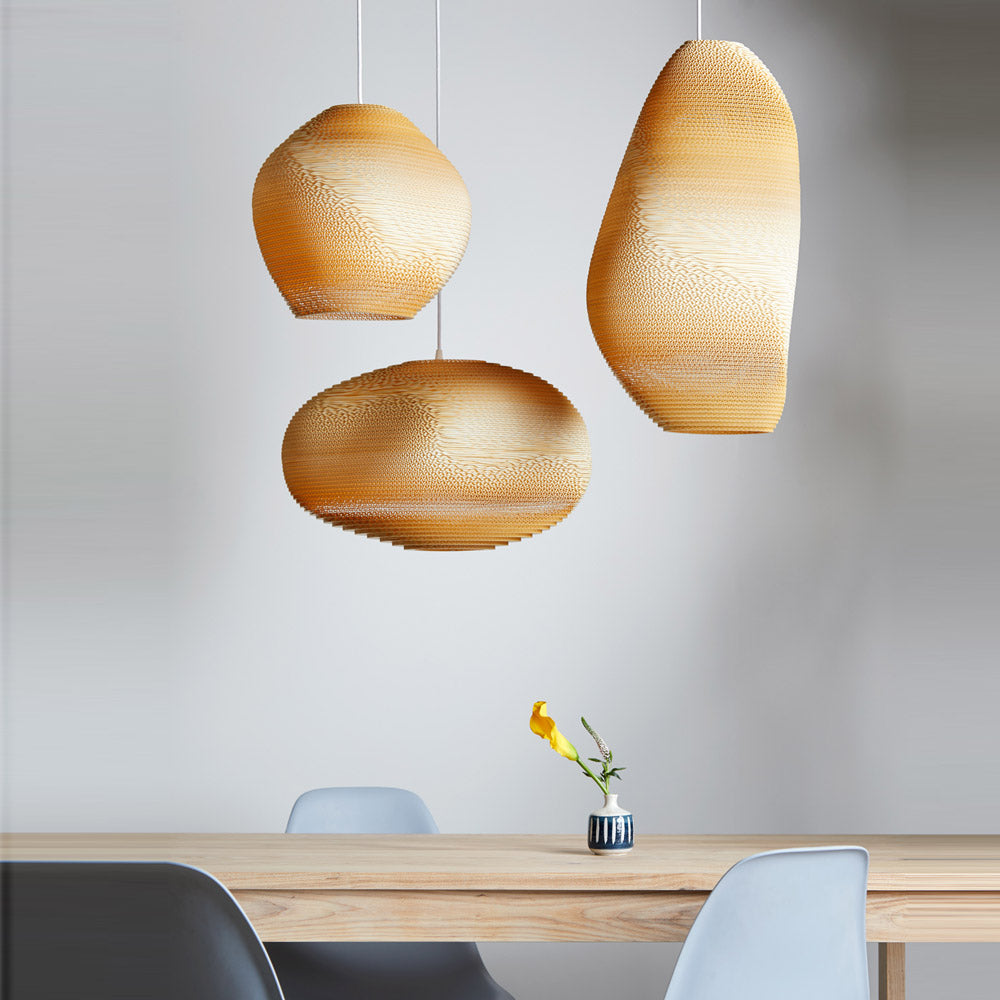 Allyn Pendant Light in living room.