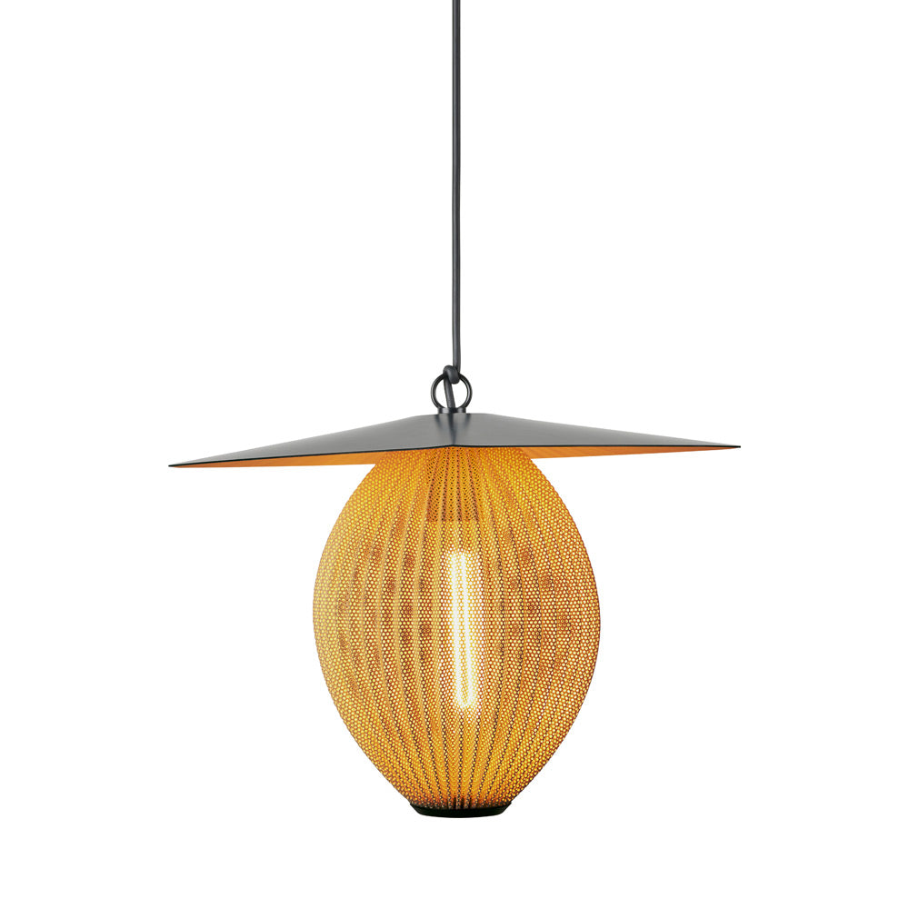 Satellite Outdoor Pendant Light in Detail.