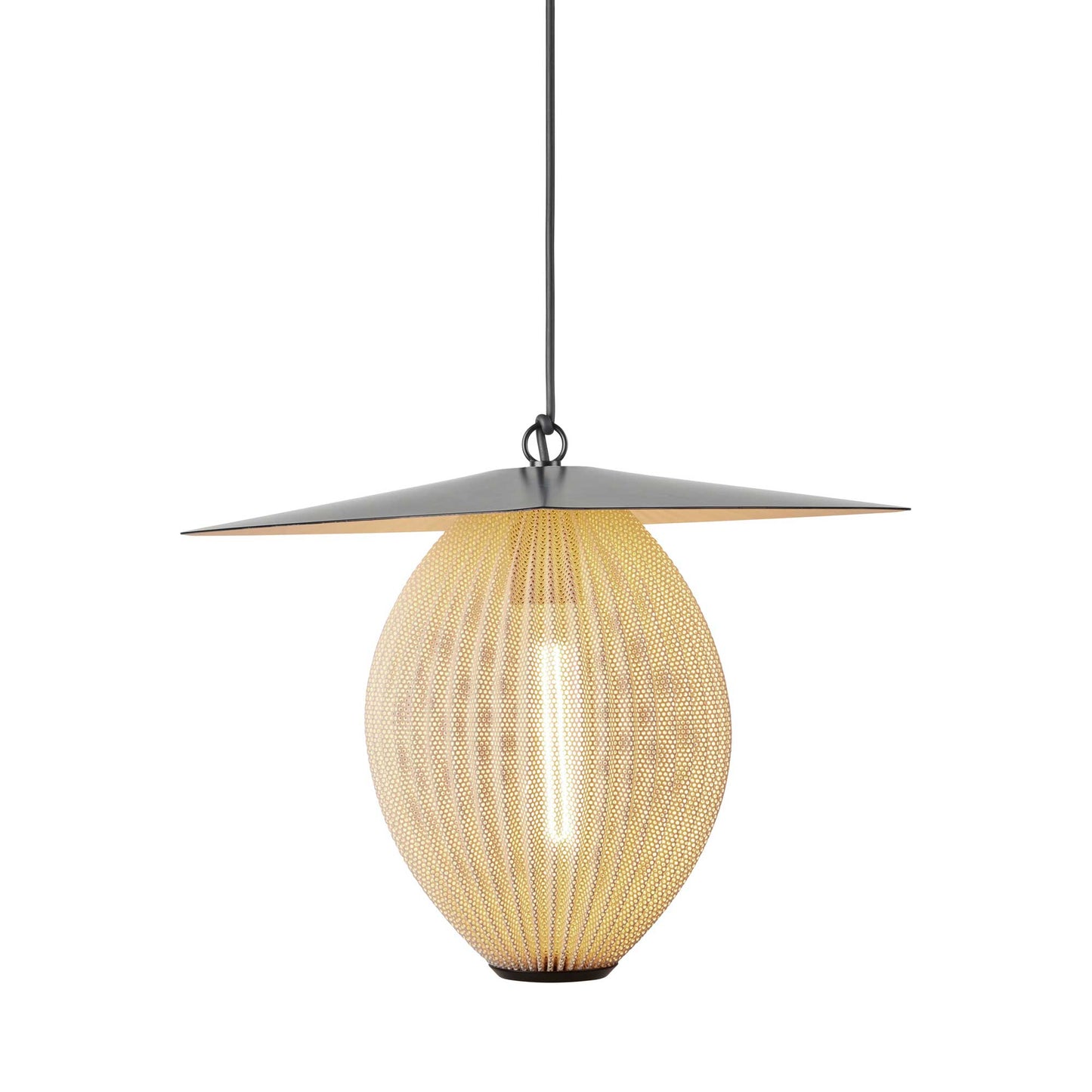 Satellite Pendant Light in Detail.