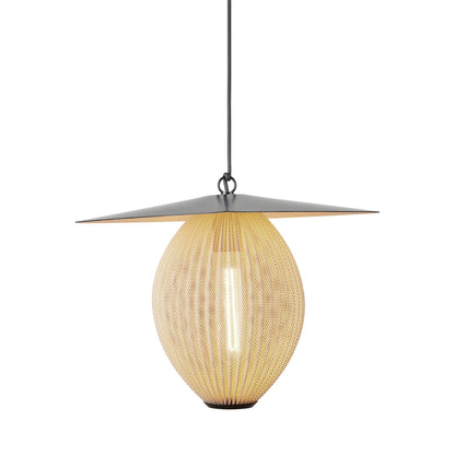 Satellite Pendant Light in Detail.