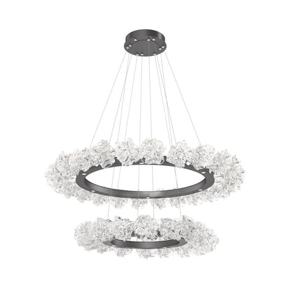 Blossom Two-Tier Ring LED Chandelier in Graphite.