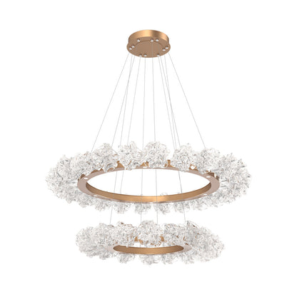 Blossom Two-Tier Ring LED Chandelier in Novel Brass.