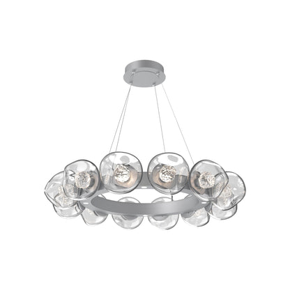 Luna Radial Ring Clear LED Chandelier in Classic Silver (Floret Crystal/38.6-Inch).