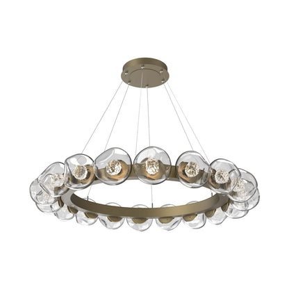 Luna Radial Ring Clear LED Chandelier in Gilded Brass (Floret Crystal/50.9-Inch).