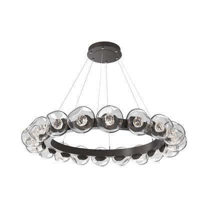 Luna Radial Ring Clear LED Chandelier in Graphite (Floret Crystal/50.9-Inch).