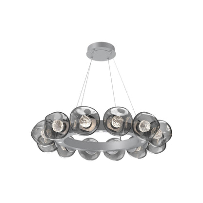 Luna Radial Ring Smoke LED Chandelier in Classic Silver (Floret Crystal/38.6-Inch).