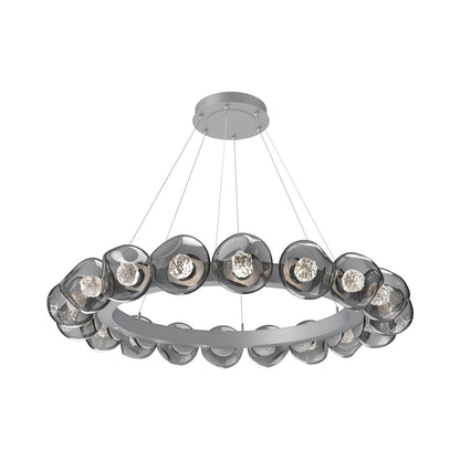 Luna Radial Ring Smoke LED Chandelier in Classic Silver (Floret Crystal/50.9-Inch).