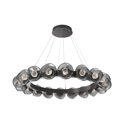 Luna Radial Ring Smoke LED Chandelier in Graphite (Floret Crystal/50.9-Inch).