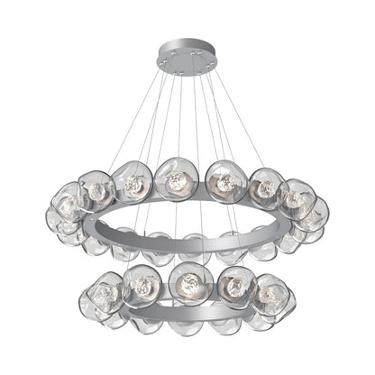 Luna Two-Tier Radial Ring LED Chandelier in Classic Silver/Clear (Floret Crystal).