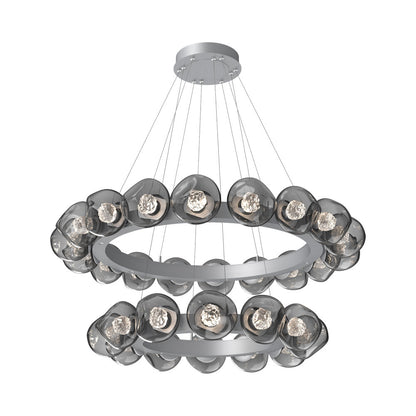 Luna Two-Tier Radial Ring LED Chandelier in Classic Silver/Smoke (Floret Crystal).