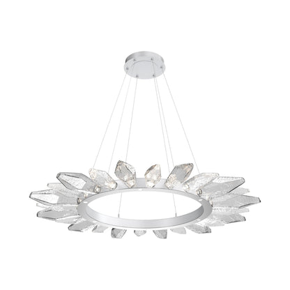 Rock Crystal Radial Ring LED Chandelier in Classic Silver/Clear Blown Glass (56.4-Inch).