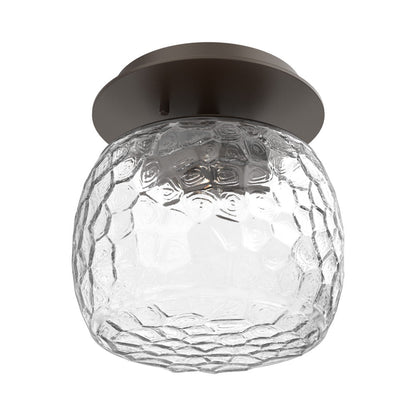 Vessel LED Ceiling / Wall Light in Flat Bronze/Clear Blown Glass.