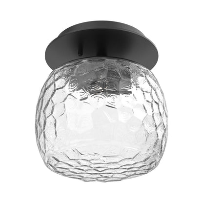 Vessel LED Ceiling / Wall Light in Matte Black/Clear Blown Glass.