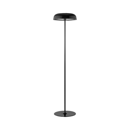 Ode® Freestanding LED Floor Lamp in Black (68-Inch).