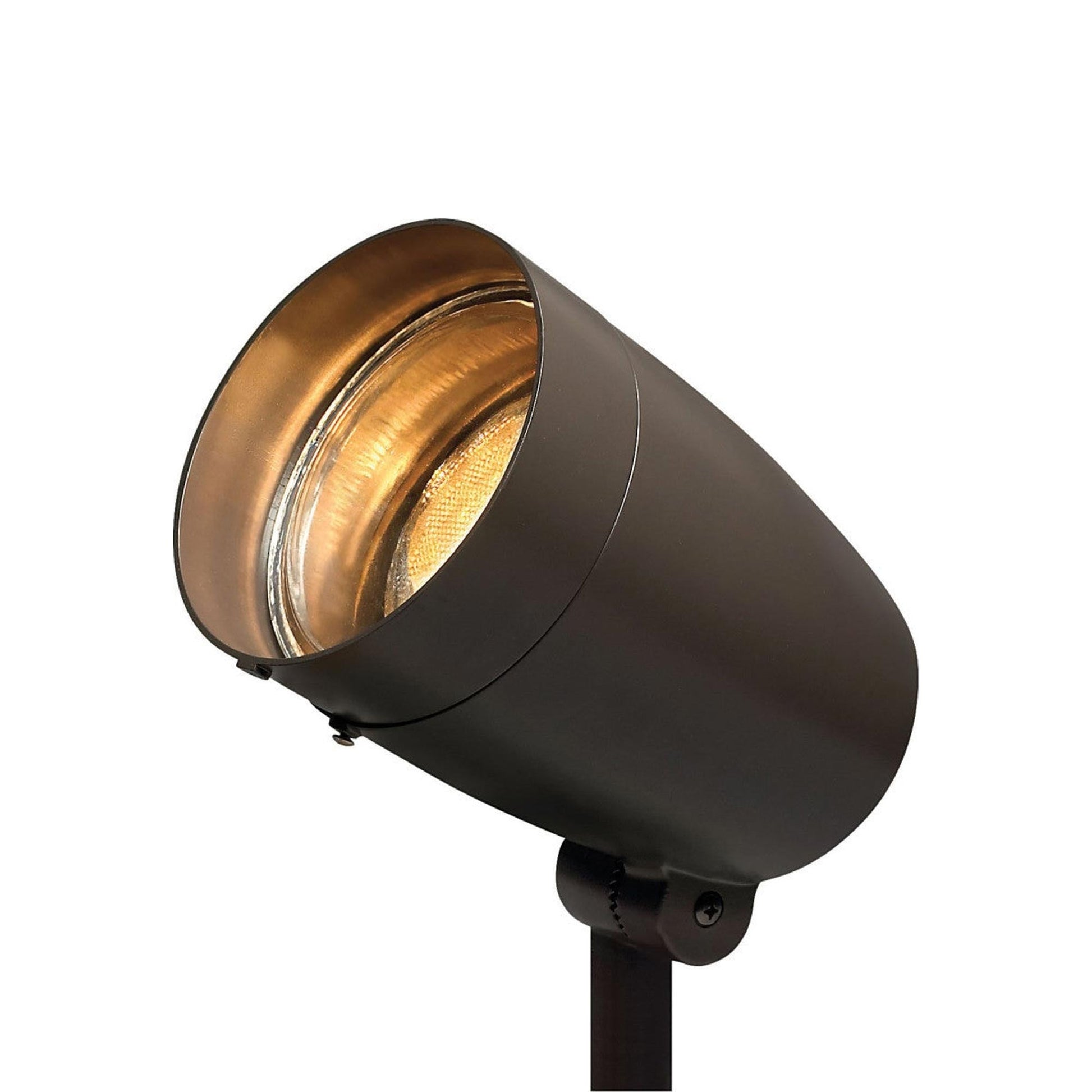 Accent 54000 Outdoor Spot Light in Detail.