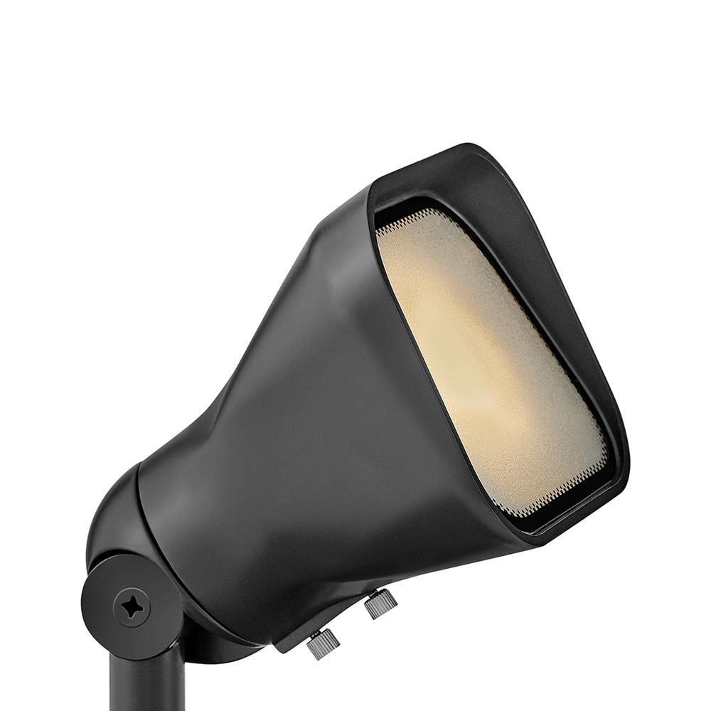 Accent Outdoor Flood Light in Brass Satin Black.